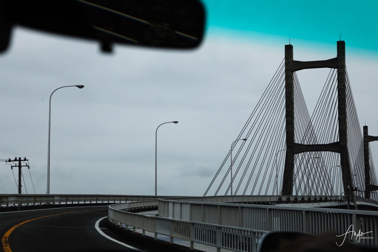 DE06AE7D-D99A-48B1-865D-18E91EEEDBB5